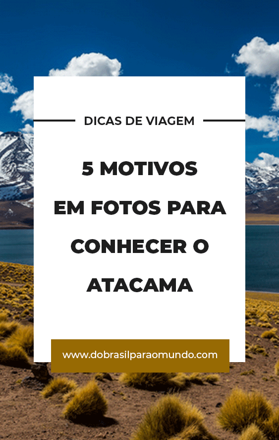 5 motivos em fotos para conhecer o atacama