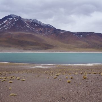 Post: Inverno Altiplânico | Chove no Deserto de Atacama? Inverno Altipânico chove no Deserto de Atacama
