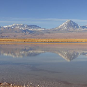 Post: Laguna Cejar: tudo que você precisa saber Laguna Cejar