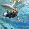 bonito-ms-aquario-natural-flutuacao07