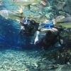 bonito-ms-aquario-natural-flutuacao07
