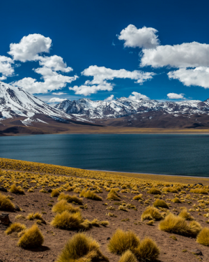 5 motivos para conhecer o Atacama
