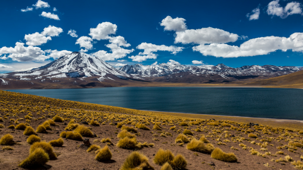 5 motivos para conhecer o Atacama