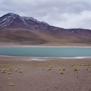 Inverno Altipânico chove no Deserto de Atacama